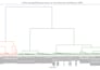 build phylogenetic trees and perform sequence analysis